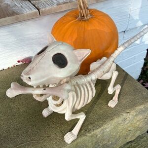 Skeleton dog Halloween decoration